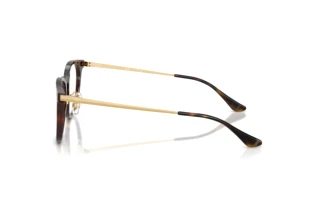 Vista laterale Ray-Ban RX5453D (2012)