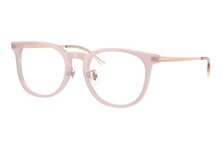 Vue de face Ray-Ban RX5453D (8438)