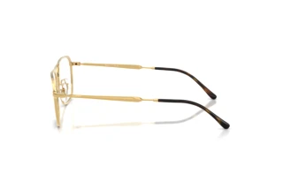 Vue latérale Ray-Ban RX6548 (2500)
