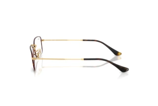 Vue latérale Ray-Ban RX6647 (3177)