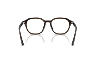 Vista posteriore Ray-Ban RX7259D (8502)