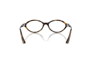 Vue arrière Ray-Ban RX7265 (8320)