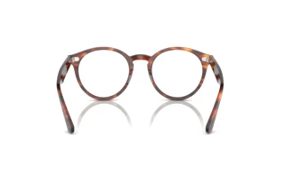 Vue arrière Ray-Ban LARRY (RX7680V - 2144)