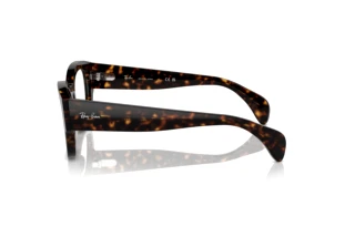 Seitenansicht Ray-Ban JORGE (RX7681V - 2012)