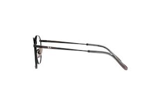 Vue latérale Ray-Ban ROUND TITANIUM (RX8237V - 1237)