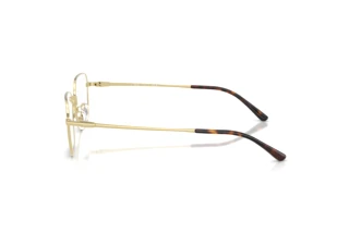 Vue latérale Ray-Ban RX8784D (1251)