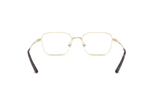 Vue arrière Ray-Ban RX8784D (1251)