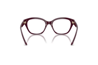 Vista posteriore Swarovski SK2038 (1044)
