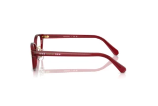 Vue latérale Swarovski SK2040D (1055)