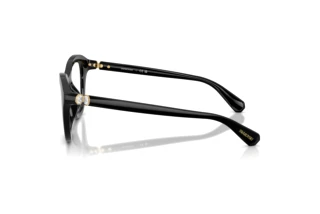 Seitenansicht Swarovski SK2042U (1001)