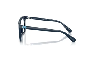 Vue latérale Swarovski SK2043 (1004)