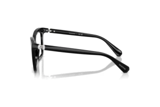 Vue latérale Swarovski SK2043 (1038)