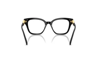 Vista posteriore Swarovski SK2048 (1001)