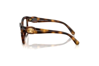 Seitenansicht Swarovski SK2056U (1002)