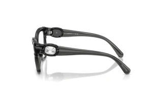 Vista laterale Swarovski SK2056U (1087)