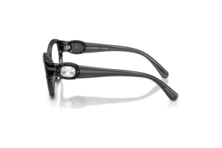 Vue latérale Swarovski SK2057 (1087)