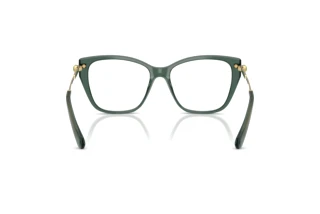 Vue arrière Swarovski SK2060 (1043)