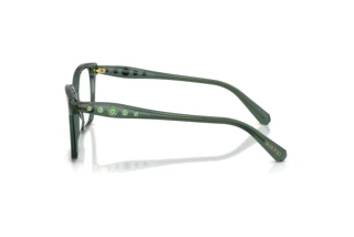 Vue latérale Swarovski SK2061 (1043)