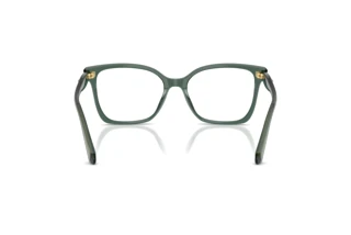Vue arrière Swarovski SK2061 (1043)