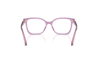 Vista posteriore Swarovski SK2061 (1096)