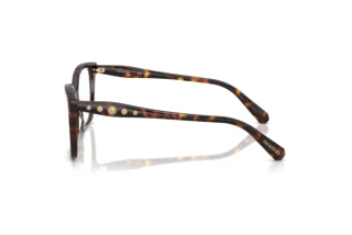 Seitenansicht Swarovski SK2061 (1101)
