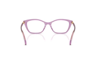 Vista posteriore Swarovski SK2065 (1096)