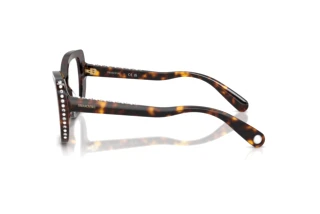 Vista laterale Swarovski SK2066U (1094)
