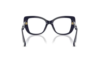 Vue arrière Swarovski SK2066U (1099)