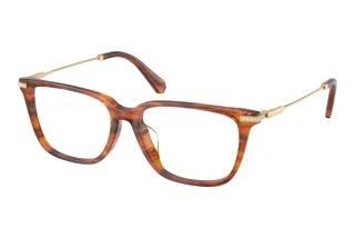 Vue de face Swarovski SK2067D (1091)
