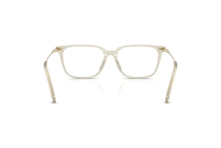 Vue arrière Swarovski SK2067D (3003)