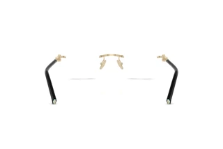 Vista posteriore Tiffany TF1170D (6021)