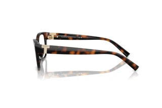 Vue latérale Tiffany TF2254BU (8015)