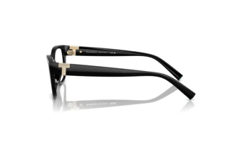Vue latérale Tiffany TF2254BU (8361)