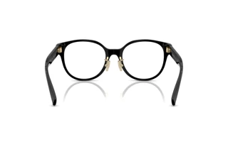 Vue arrière Tiffany TF2264D (8001)