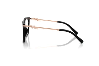 Vue latérale Tiffany TF2284B (8001)
