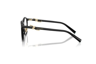 Vue latérale Tiffany TF2304D (8001)