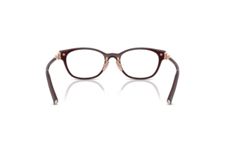 Vue arrière Tiffany TF2305D (8470)