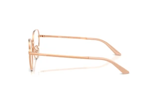 Vue latérale Versace VE1313D (1412)