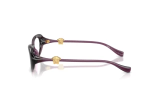 Seitenansicht Versace VE3381U (5536)