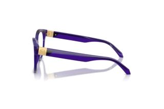 Seitenansicht Versace VE3384 (5545)