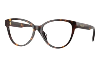 Vue de face Versace VE3399U (108)