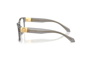 Vue latérale Versace VE3403U (5510)