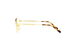 Vue latérale Vogue Eyewear VO4221 (280)