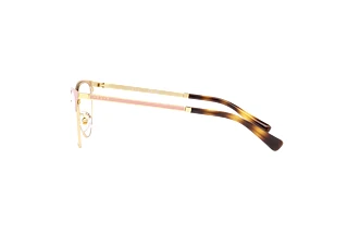 Vue latérale Vogue Eyewear VO4250 (5176)