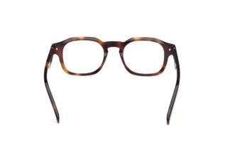 Vue arrière Zegna EZ5293 (052)