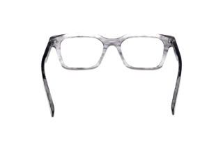 Vue arrière Zegna EZ5294 (020)