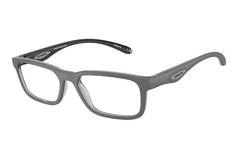 Designerbrillen Arnette RAYSIN (AN7283 3009)