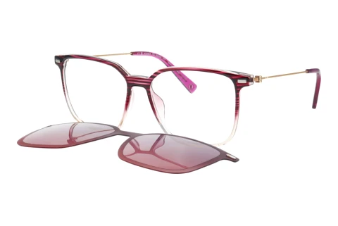 Designerbrillen Bogner 66020 3500