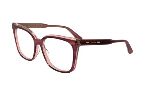 Designerbrillen Calvin Klein CK25511 N 605