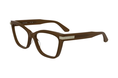 Designerbrillen Calvin Klein CK25513 N 601